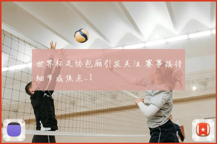世界杯足协包厢引发关注 赛事接待细节成焦点_1