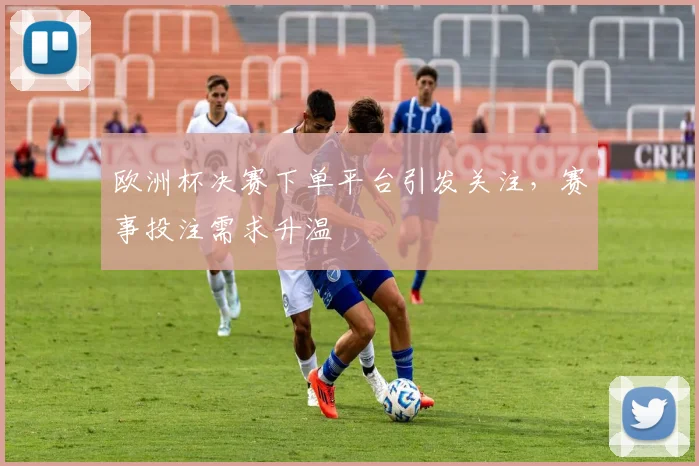 欧洲杯决赛下单平台引发关注，赛事投注需求升温