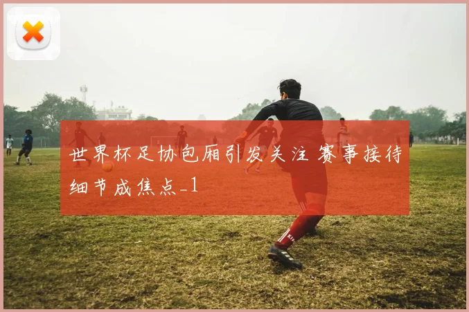 世界杯足协包厢引发关注 赛事接待细节成焦点_1