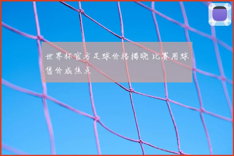 世界杯官方足球价格揭晓 比赛用球售价成焦点