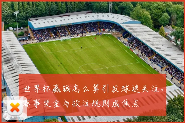 世界杯赢钱怎么算引发球迷关注，赛事奖金与投注规则成焦点