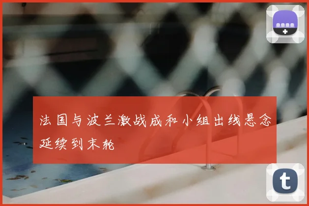 法国与波兰激战成和小组出线悬念延续到末轮