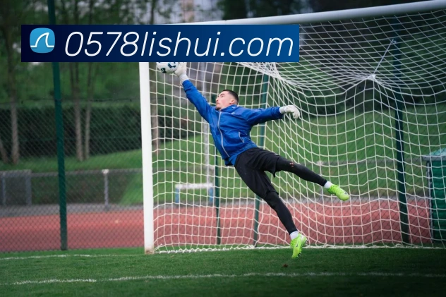 世界杯平台官网登录平台生态图